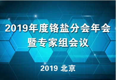 2019年度铬盐行业分会年会暨专家组会议